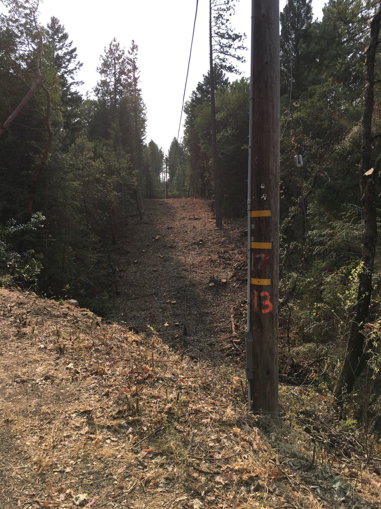 PG&E tree cutting near Angwin